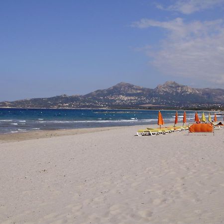 Appartement F1 Calvi A 150 Metres De La Plage Eksteriør billede