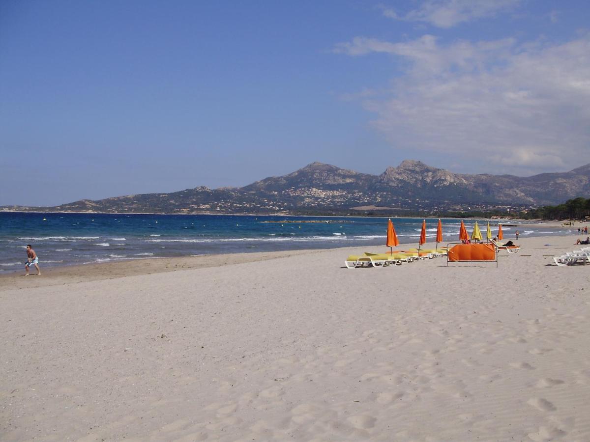 Appartement F1 Calvi A 150 Metres De La Plage Eksteriør billede